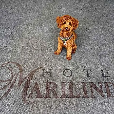 Marilinda Hotel Cesenatico